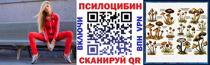 Псилоцибиновые грибы Magic Shrooms  где можно купить   Безенчук 